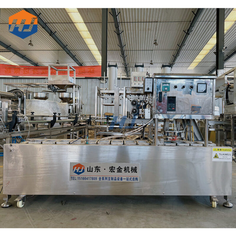 Automatic boxed tofu packaging machine